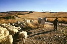 ห้องออกกำลังกาย Masseria San Giovanni Sgadari