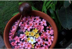 Lain-lain 7 Hotel Pinkcoco Gili Air