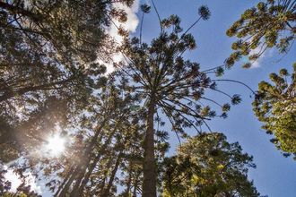 ภายนอกอาคาร 4 Villa Vintage