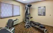 Fitness Center 6 Quality Inn Smyrna