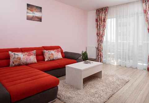 Common Space Brasov Holiday Aparments - Coral