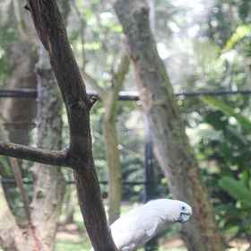 Crowne Plaza Residences Port Moresby1 , 飯店巴布亚新几内亚