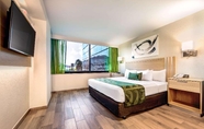 Kamar Tidur 4 Hotel La Joya Pachuca