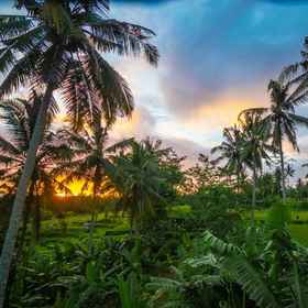 Kencana House Ubud 1, Hotel Kuil Tirta Empul