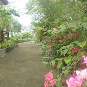 Haruhay Dream Resort and Restaurant 1, 酒店 Poblacion