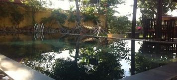 スイミングプール 4 Tea Garden Villa