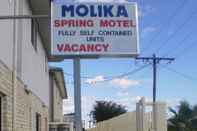 Bangunan Molika Springs Motel