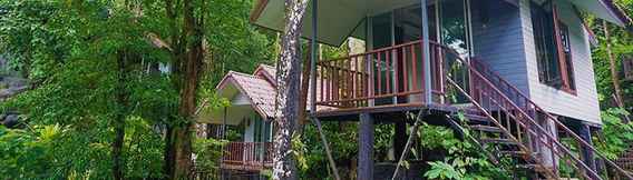Bangunan 4 Rock And Treehouse Resort