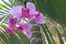 Ruang untuk Umum Pousada Ilhas de Juquehy