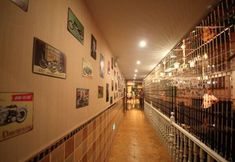 Lobby 2 Greentree INN Anhui Hefei Bianhe Road Yuanshangyua