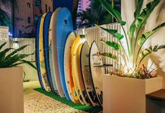 外部的 7 SANYA BACKPACKER INTERNATIONAL YOUTH HOSTEL