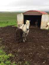 Bên ngoài 4 Karuna Guesthouse Litlu-Gröf Sauðárkróki