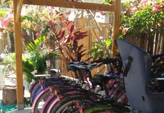 Lainnya 7 Wombat's B&B