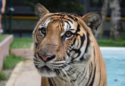 Exterior Chinoiserie Collection Resort & Spa