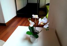 その他 7 Theorynomad AL Lisboa - Hostel