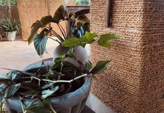 其他 2 Airport Transit B&B