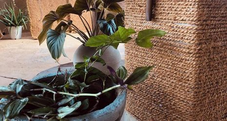 其他 2 Airport Transit B&B