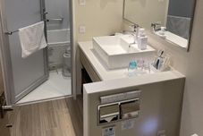 客房内浴室 Keikyu Ex Inn Hamamatsucho Daimon Station