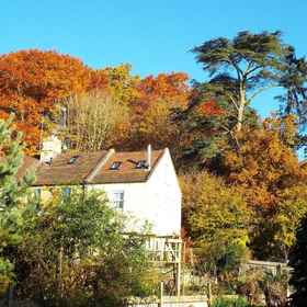 メドウブルックコテージB&B 1, シーグリーホテル