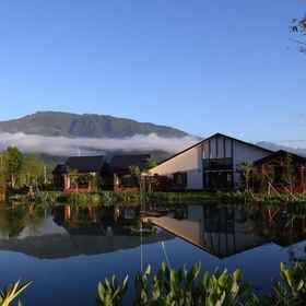 Golden Paddy1 , 飯店富源国家森林游乐区