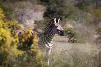 Pusat Kecergasan Bukela Game Lodge Amakhala Game Reserve