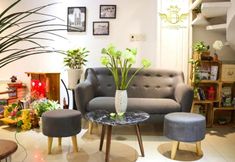 기타 6 Saigon Odyssey House