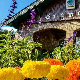 Pousada Beija Flor Gramado 1, Khách sạn Sequoias Park