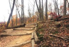 其他 4 The Harbor Rose