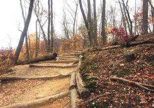 其他 4 The Harbor Rose