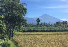 Others 5 Cahaya Tetebatu Inn