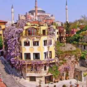 Hotel Empress Zoe1 , 飯店法提赫