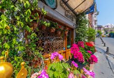 Others 3 Walnut Shell Hotel