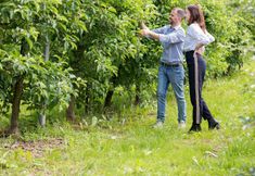 อื่นๆ 7 Arbulé