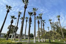 Common Space Dalaman Airport AliBaba Hotel