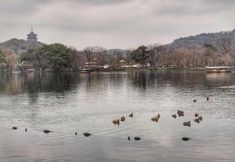 Nearby View and Attractions 3 Hanting Hotel (Hangzhou Xihu Avenue Chengzhan)