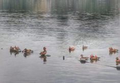 Nearby View and Attractions 5 Hanting Hotel (Hangzhou Xihu Avenue Chengzhan)