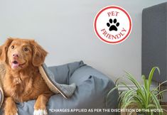 Others 5 Love Hotels Voyageur at International Falls MN