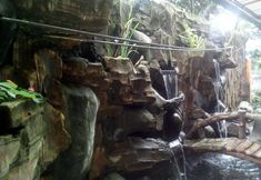 Others 2 Simply Homy Pasteur