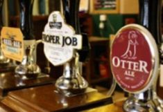 其他 5 The Duke of York