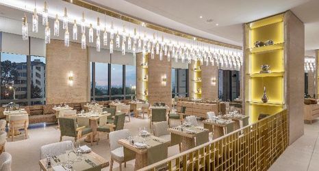 その他 2 Hyatt Regency Izmir Istinyepark