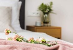 其他 3 Polana Resort By Loft Affair