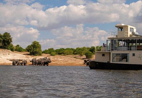 기타 Chobe Princesses by Mantis