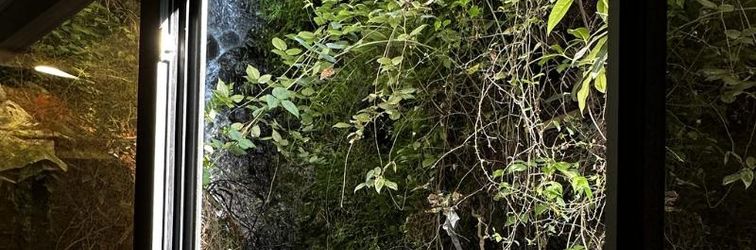 Others The Old Apprentice