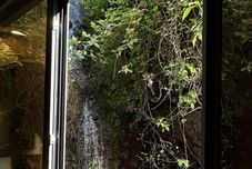 Lain-lain The Old Apprentice