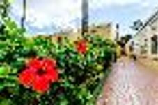 Common Space Vick Sol