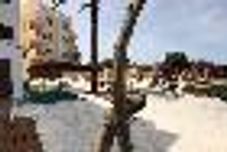 スイミングプール Sol Naixent-Bonaire