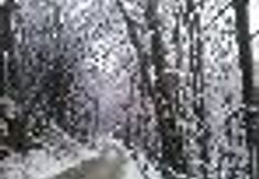 Bedroom 3 Molino del Puente