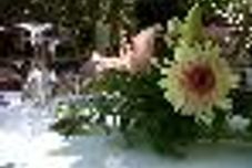 公共空間 Molino del Puente