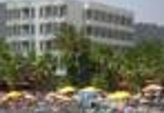 外部的 3 Palm Beach