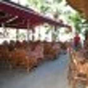 Bar 1 Palm Beach, İzmir Kumru Hotels